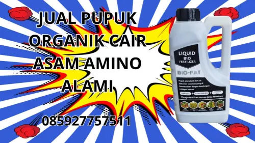 085927757511 Jual Pupuk Organik Cair Asam Amino Alami Hidroponik Tojo Una-Una 085927757511 Jual Pupuk Organik Cair Asam Amino Alami Hidroponik Tojo Una-Una