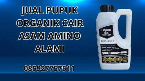085927757511 Jual Pupuk Organik Cair Asam Amino Alami  Bangka