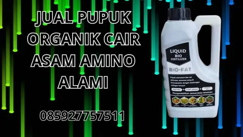085927757511 Jual Pupuk Organik Cair Asam Amino Alami  Bekasi