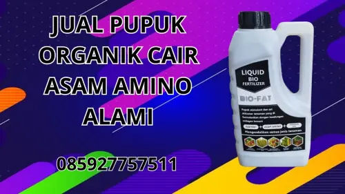 085927757511 Jual Pupuk Organik Cair Asam Amino Alami  Bantaeng