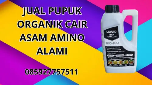 085927757511 Jual Pupuk Organik Cair Asam Amino Alami  Pamekasan 085927757511 Jual Pupuk Organik Cair Asam Amino Alami  Pamekasan