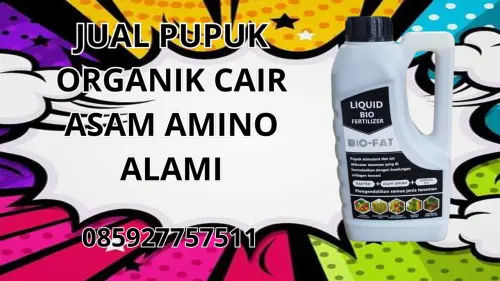 085927757511 Jual Pupuk Organik Cair Asam Amino Alami Halmahera Utara 085927757511 Jual Pupuk Organik Cair Asam Amino Alami Halmahera Utara