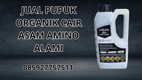 085927757511 Jual Pupuk Organik Cair Asam Amino Alami Hidroponik Poso 085927757511 Jual Pupuk Organik Cair Asam Amino Alami Hidroponik Poso