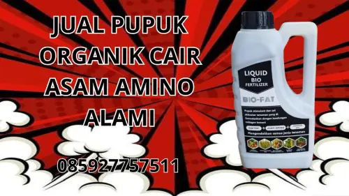085927757511 Jual Pupuk Organik Cair Asam Amino Alami  Pangandaran 085927757511 Jual Pupuk Organik Cair Asam Amino Alami  Pangandaran