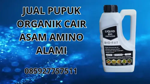 085927757511 Jual Pupuk Organik Cair Asam Amino Alami Bengkulu Selatan 085927757511 Jual Pupuk Organik Cair Asam Amino Alami Bengkulu Selatan