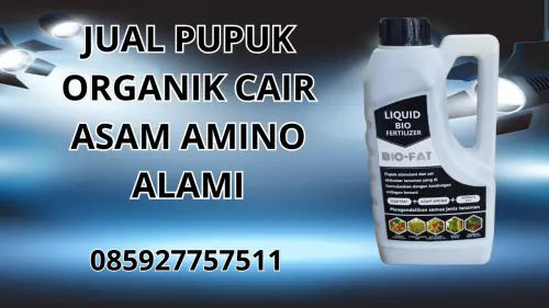 085927757511 Jual Pupuk Organik Cair Asam Amino Alami Hidroponik Sumenep 085927757511 Jual Pupuk Organik Cair Asam Amino Alami Hidroponik Sumenep