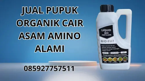 085927757511 Jual Pupuk Organik Cair Asam Amino Alami  Bandung 085927757511 Jual Pupuk Organik Cair Asam Amino Alami  Bandung