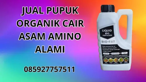 085927757511 Jual Pupuk Organik Cair Asam Amino Alami Lembata 085927757511 Jual Pupuk Organik Cair Asam Amino Alami Lembata