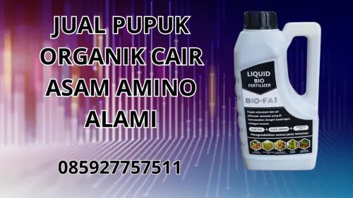 085927757511 Jual Pupuk Organik Cair Asam Amino Alami Banggai Laut 085927757511 Jual Pupuk Organik Cair Asam Amino Alami Banggai Laut