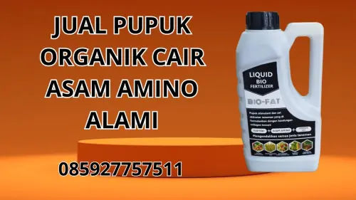 085927757511 Jual Pupuk Organik Cair Asam Amino Alami Lombok Utara 085927757511 Jual Pupuk Organik Cair Asam Amino Alami Lombok Utara