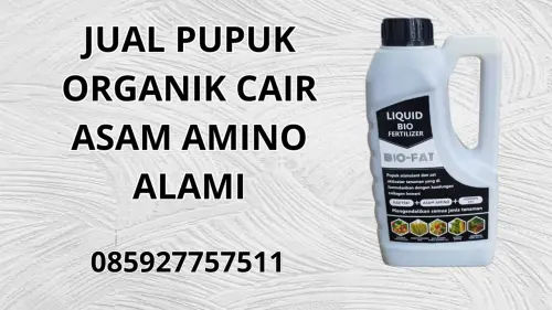085927757511 Jual Pupuk Organik Cair Asam Amino Alami  Malang 085927757511 Jual Pupuk Organik Cair Asam Amino Alami  Malang