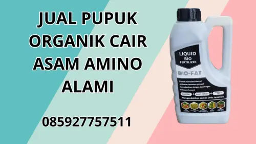 085927757511 Jual Pupuk Organik Cair Asam Amino Alami  Bojonegoro 085927757511 Jual Pupuk Organik Cair Asam Amino Alami  Bojonegoro