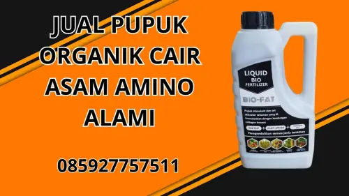 085927757511 Jual Pupuk Organik Cair Asam Amino Alami Sleman 085927757511 Jual Pupuk Organik Cair Asam Amino Alami Sleman