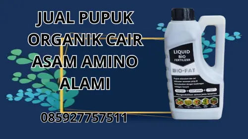 085927757511 Jual Pupuk Organik Cair Asam Amino Alami Pulau Morotai 085927757511 Jual Pupuk Organik Cair Asam Amino Alami Pulau Morotai
