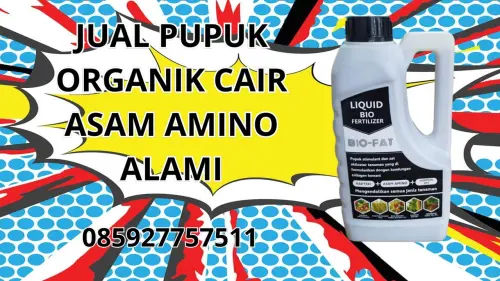085927757511 Jual Pupuk Organik Cair Asam Amino Alami  Klaten 085927757511 Jual Pupuk Organik Cair Asam Amino Alami  Klaten