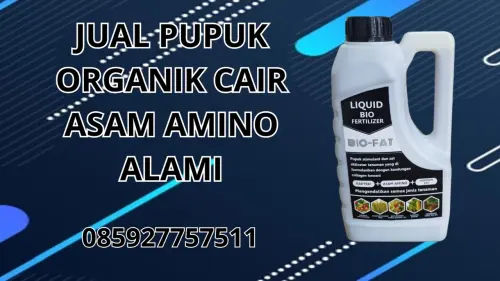 085927757511 Jual Pupuk Organik Cair Asam Amino Alami Raja Ampat 085927757511 Jual Pupuk Organik Cair Asam Amino Alami Raja Ampat