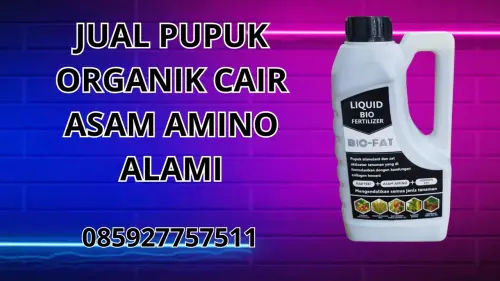 085927757511 Jual Pupuk Organik Cair Asam Amino Alami Buton Utara 085927757511 Jual Pupuk Organik Cair Asam Amino Alami Buton Utara