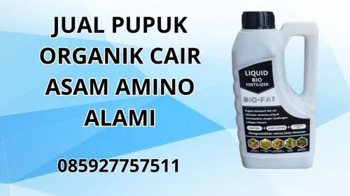 085927757511 Jual Pupuk Organik Cair Asam Amino Alami Hidroponik Konawe 085927757511 Jual Pupuk Organik Cair Asam Amino Alami Hidroponik Konawe