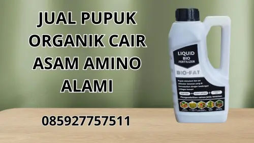 085927757511 Jual Pupuk Organik Cair Asam Amino Alami Bone Bolango 085927757511 Jual Pupuk Organik Cair Asam Amino Alami Bone Bolango