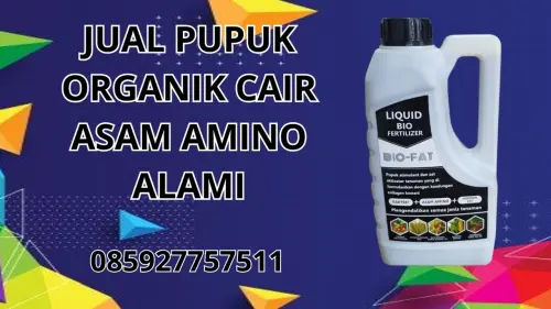 085927757511 Jual Pupuk Organik Cair Asam Amino Alami Tanjung Jabung Barat