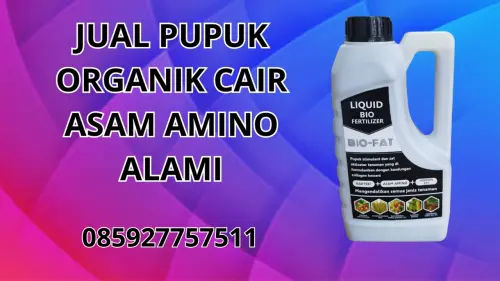 085927757511 Jual Pupuk Organik Cair Asam Amino Alami Jakarta Pusat 085927757511 Jual Pupuk Organik Cair Asam Amino Alami Jakarta Pusat