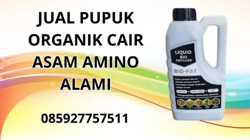 085927757511 Jual Pupuk Organik Cair Asam Amino Alami Hidroponik Morowali Utara 085927757511 Jual Pupuk Organik Cair Asam Amino Alami Hidroponik Morowali Utara