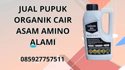 085927757511 Jual Pupuk Organik Cair Asam Amino Alami Hidroponik Madiun 085927757511 Jual Pupuk Organik Cair Asam Amino Alami Hidroponik Madiun