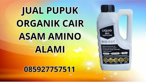 085927757511 Jual Pupuk Organik Cair Asam Amino Alami Hidroponik  Surakarta