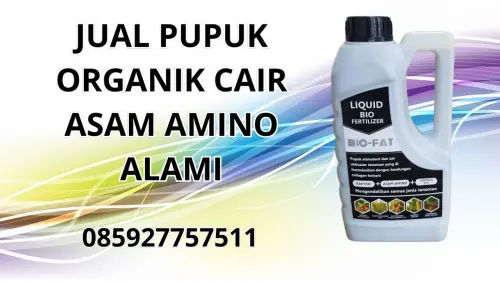 085927757511 Jual Pupuk Organik Cair Asam Amino Alami Gorontalo Utara 085927757511 Jual Pupuk Organik Cair Asam Amino Alami Gorontalo Utara