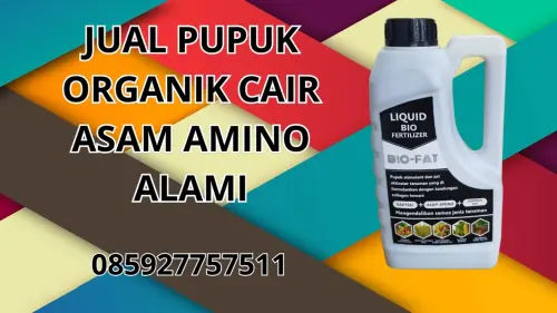 085927757511 Jual Pupuk Organik Cair Asam Amino Alami Hidroponik Agam 085927757511 Jual Pupuk Organik Cair Asam Amino Alami Hidroponik Agam