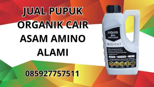 085927757511 Jual Pupuk Organik Cair Asam Amino Alami Kutai Timur 085927757511 Jual Pupuk Organik Cair Asam Amino Alami Kutai Timur