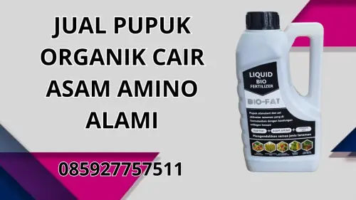 085927757511 Jual Pupuk Organik Cair Asam Amino Alami Konawe 085927757511 Jual Pupuk Organik Cair Asam Amino Alami Konawe