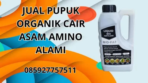 085927757511 Jual Pupuk Organik Cair Asam Amino Alami Hidroponik Minahasa Tenggara 085927757511 Jual Pupuk Organik Cair Asam Amino Alami Hidroponik Minahasa Tenggara