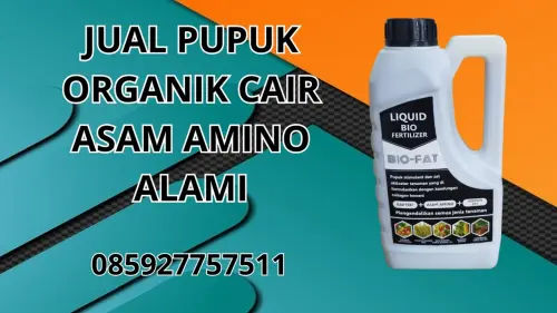 085927757511 Jual Pupuk Organik Cair Asam Amino Alami  Bangkalan 085927757511 Jual Pupuk Organik Cair Asam Amino Alami  Bangkalan