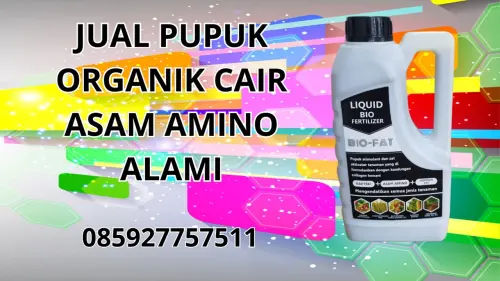 085927757511 Jual Pupuk Organik Cair Asam Amino Alami Deiyai 085927757511 Jual Pupuk Organik Cair Asam Amino Alami Deiyai