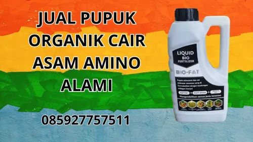 085927757511 Jual Pupuk Organik Cair Asam Amino Alami  Karawang 085927757511 Jual Pupuk Organik Cair Asam Amino Alami  Karawang
