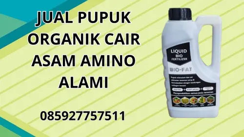 085927757511 Jual Pupuk Organik Cair Asam Amino Alami Hidroponik Bitung 085927757511 Jual Pupuk Organik Cair Asam Amino Alami Hidroponik Bitung