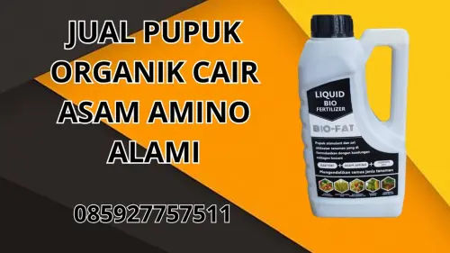 085927757511 Jual Pupuk Organik Cair Asam Amino Alami Hidroponik Sigi 085927757511 Jual Pupuk Organik Cair Asam Amino Alami Hidroponik Sigi