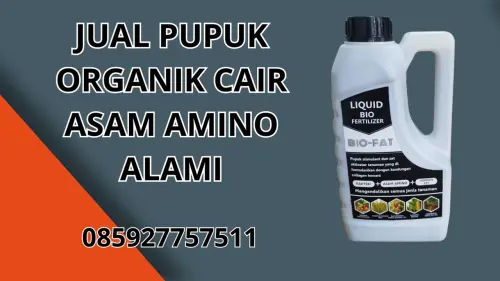 085927757511 Jual Pupuk Organik Cair Asam Amino Alami Hidroponik Kolaka Timur 085927757511 Jual Pupuk Organik Cair Asam Amino Alami Hidroponik Kolaka Timur