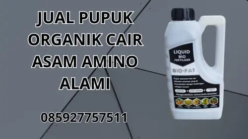085927757511 Jual Pupuk Organik Cair Asam Amino Alami  Tegal 085927757511 Jual Pupuk Organik Cair Asam Amino Alami  Tegal