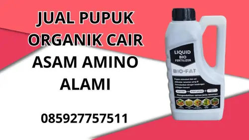 085927757511 Jual Pupuk Organik Cair Asam Amino Alami Tidore Kepulauan 085927757511 Jual Pupuk Organik Cair Asam Amino Alami Tidore Kepulauan