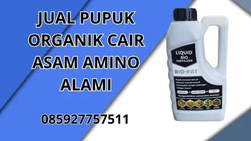 085927757511 Jual Pupuk Organik Cair Asam Amino Alami Hidroponik Konawe Utara 085927757511 Jual Pupuk Organik Cair Asam Amino Alami Hidroponik Konawe Utara