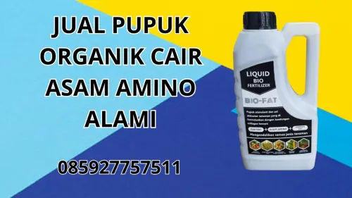 085927757511 Jual Pupuk Organik Cair Asam Amino Alami Lebong 085927757511 Jual Pupuk Organik Cair Asam Amino Alami Lebong