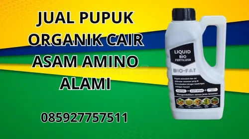 085927757511 Jual Pupuk Organik Cair Asam Amino Alami Muna 085927757511 Jual Pupuk Organik Cair Asam Amino Alami Muna