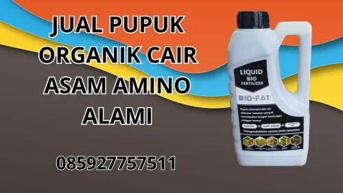 085927757511 Jual Pupuk Organik Cair Asam Amino Alami Hidroponik Kolaka Utara 085927757511 Jual Pupuk Organik Cair Asam Amino Alami Hidroponik Kolaka Utara