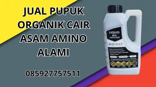 085927757511 Jual Pupuk Organik Cair Asam Amino Alami  Jepara 085927757511 Jual Pupuk Organik Cair Asam Amino Alami  Jepara