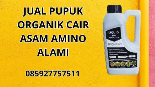 085927757511 Jual Pupuk Organik Cair Asam Amino Alami  Lamongan 085927757511 Jual Pupuk Organik Cair Asam Amino Alami  Lamongan