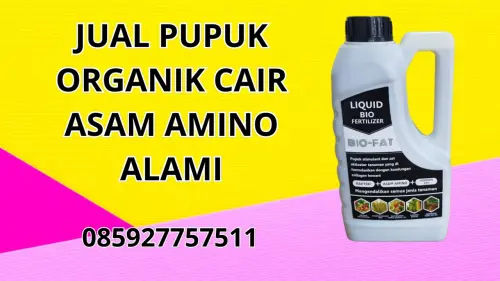 085927757511 Jual Pupuk Organik Cair Asam Amino Alami Hidroponik  Bojonegoro