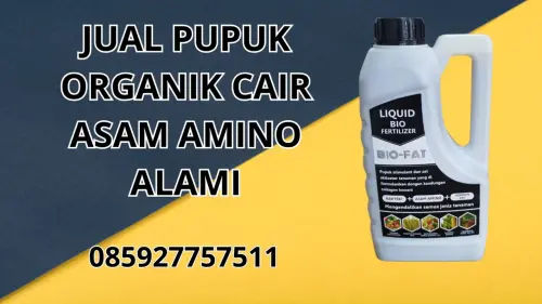 085927757511 Jual Pupuk Organik Cair Asam Amino Alami Hidroponik Bolaang Mongondow Selatan 085927757511 Jual Pupuk Organik Cair Asam Amino Alami Hidroponik Bolaang Mongondow Selatan