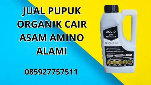 085927757511 Jual Pupuk Organik Cair Asam Amino Alami  Karanganyar 085927757511 Jual Pupuk Organik Cair Asam Amino Alami  Karanganyar